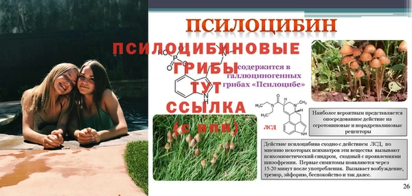 эйфоретик Алексин