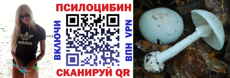 Галлюциногенные грибы Psilocybe  магазин    блэк спрут   Белоозёрский 